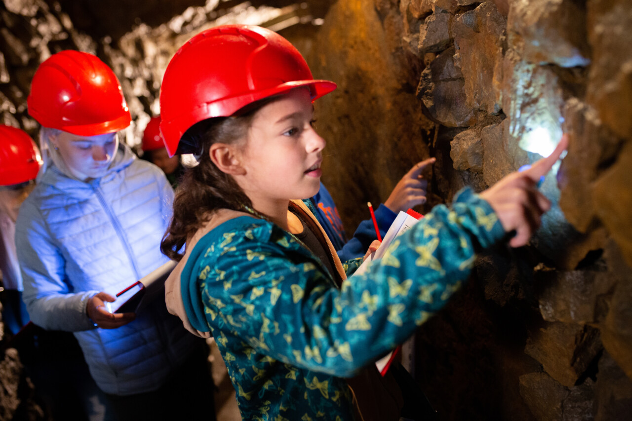 WYPRAWA W POSZUKIWANIU SREBRA – OFERTA EDUKACYJNA